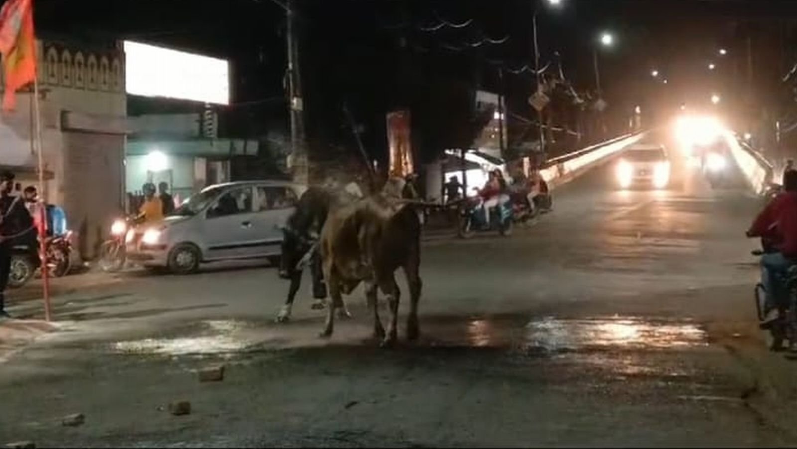 मुख्यमंत्री जी ! ये कानून नहीं जानते, ऐसे ही लड़ेंगे...पर आपका सिस्टम तो कुछ कर सकता है