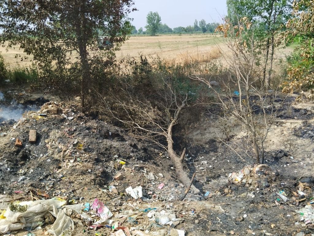 रोड किनारे कू़डे़ के ढेरों में आग लगा रही पालिका, जले जा रहे पेड़