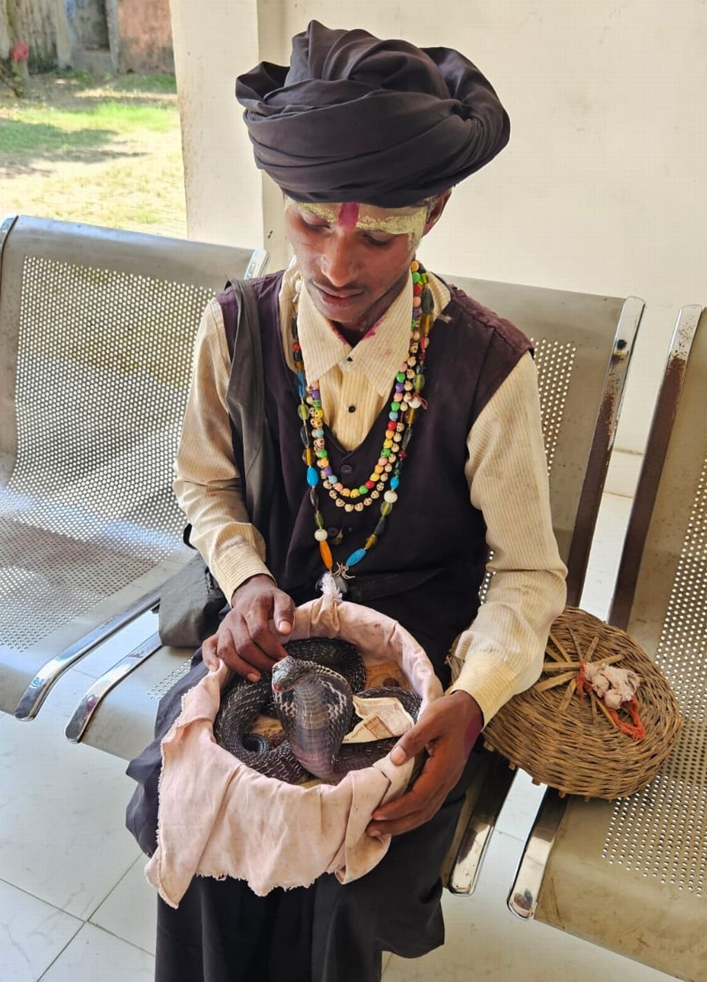 सावन में 'नाग दर्शन' करवाना पड़ गया महंगा...वन विभाग ने लिखाया मुकदमा