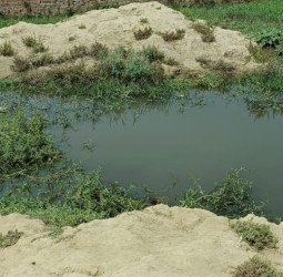 'मम्मी, भैया डूब गया' ! छोटा भाई चीखता हुआ आया पर तब तक...