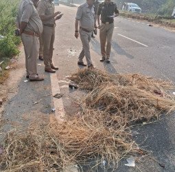 बदायूं में सड़क हादसे में छह की मौत...सड़क पर इतना खून कि पुलिस को बिछानी पड़ी पुआल