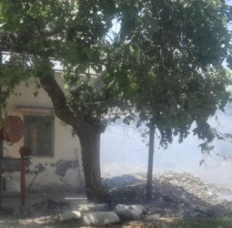 ये जिला अस्पताल है ! यहां दवाएं नहीं मर्ज बंटता है, दम घुटे या जान जाए, किस को फर्क पड़ता है