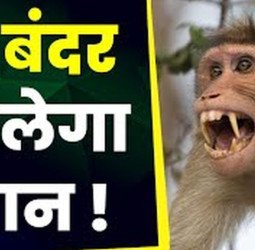 छत पर गई थी महिला, वहां हुआ कुछ ऐसा...छत से गिरकर चली गई जान