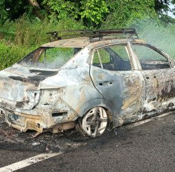 कार से धुंआ उठा, बोनट खोलते ही लगी आग...देखते ही देखते जल गई पूरी गाड़ी