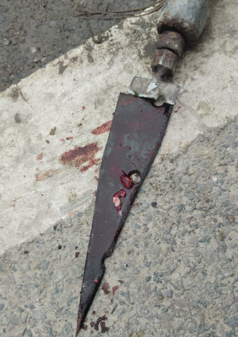 सहसवान में भाला मारकर गाय की हत्या, इस्लामनगर में 'लापरवाही' ने ले ली गौमाता की जान