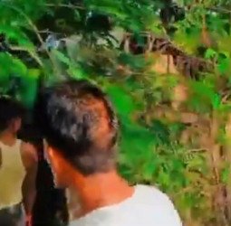 बाइक को टक्कर मारकर पलटी बस, बाइक सवार युवक की मौत, कई लोग घायल