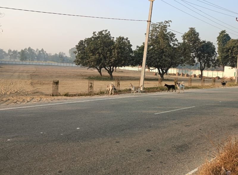 बोतल से एक बार फिर बाहर निकला सहसवान की विवादित जमीन का जिन्न, मुख्यमंत्री तक पहुंची शिकायत