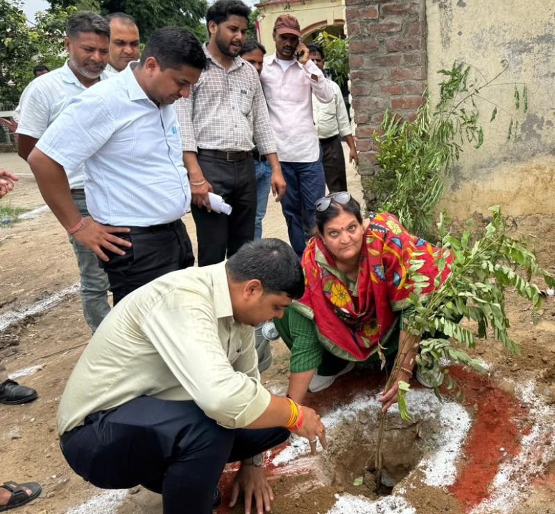 जिला पंचायत अध्यक्ष वर्षा यादव ने कई जगह रोपे पौधे