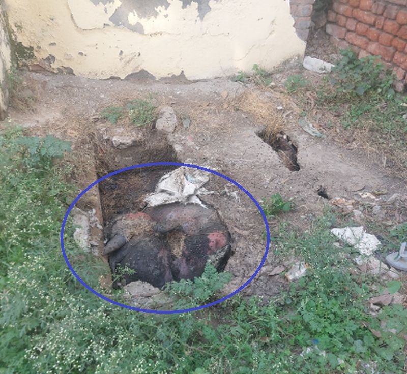 बदायूं के इस अस्पताल के सेप्टिक टैंक में कई दिनों से सड़ रहा शव...बदबू फैली तो चला पता