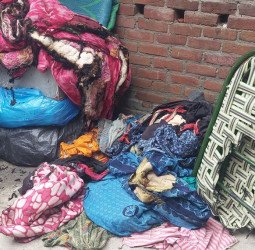 'दीया' छेड़ दिया चूहे ने तो घर में लग गई आग, हजारों का नुकसान