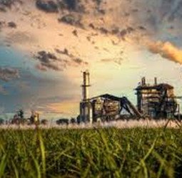 31 करोड़ का गन्ना भुगतान न करने पर डीपी यादव के बेटे समेत पांच पर एफआईआर