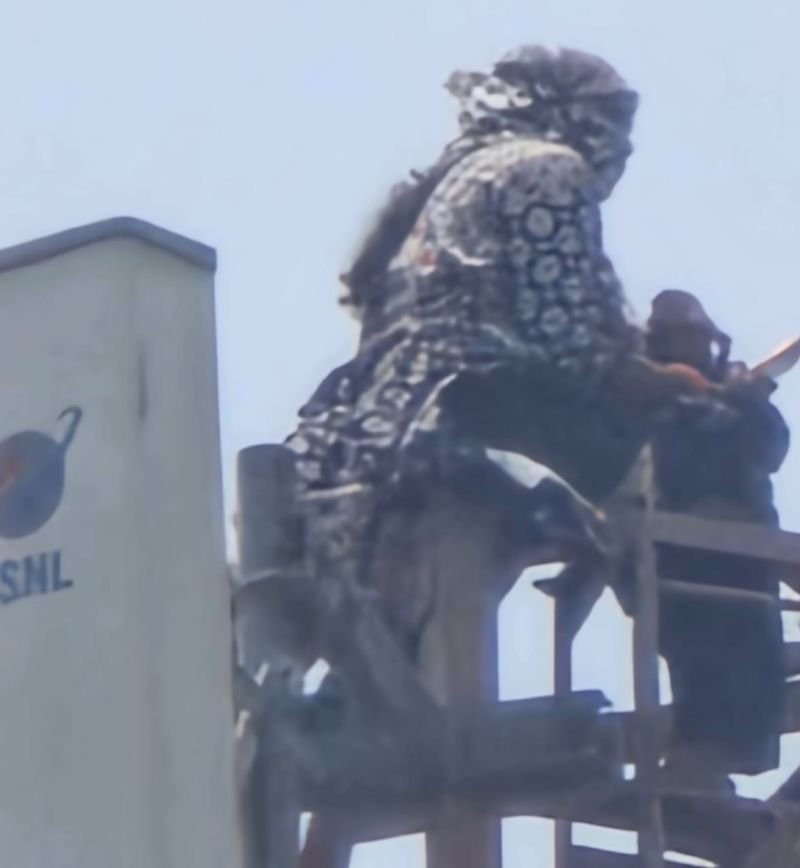 VIDEO: तीन घंटे मोबाइल टावर पर चढ़ी रही महिला, पिता और भाइयों को मिली सजा के खिलाफ दोबारा ट्रायल की मांग