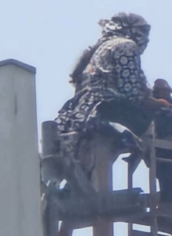 VIDEO: तीन घंटे मोबाइल टावर पर चढ़ी रही महिला, पिता और भाइयों को मिली सजा के खिलाफ दोबारा ट्रायल की मांग