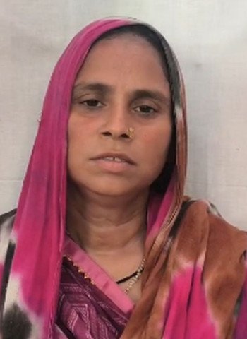 विधवा महिला के प्लॉट पर दबंगों ने किया कब्जा, 10 हजार ईंटें भी चुराने का आरोप