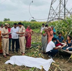 मक्का की फसल तोड़ रहे थे चाचा-भतीजी...मौत बनकर गिरा हाईटेंशन लाइन का तार, चाचा की मौत