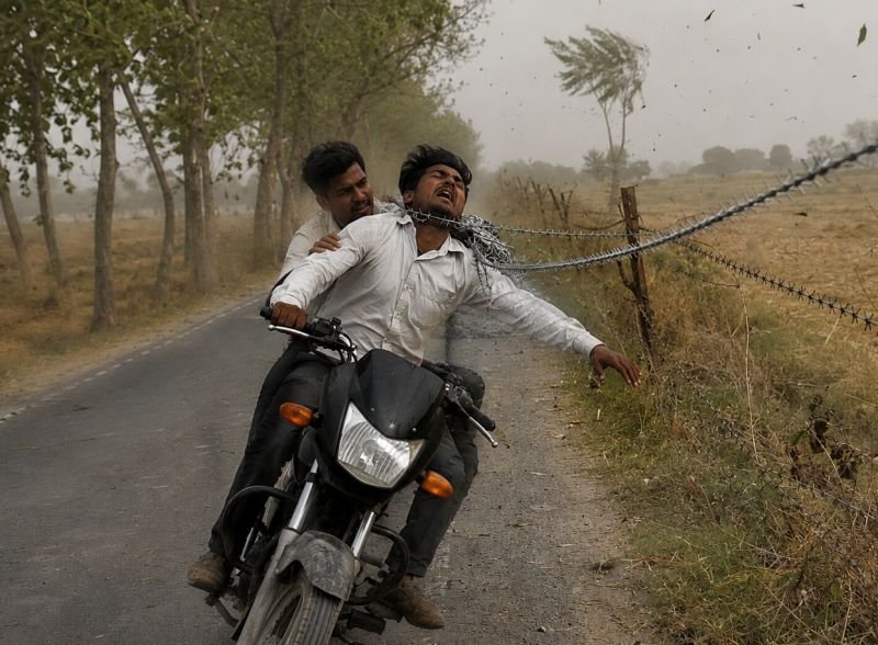 आंधी में उड़कर सड़क पर आ गया खेत की रखवाली को लगाया तार, उलझकर पूर्व प्रधान के भाई की गर्दन कटी