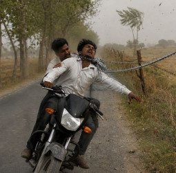 आंधी में उड़कर सड़क पर आ गया खेत की रखवाली को लगाया तार, उलझकर पूर्व प्रधान के भाई की गर्दन कटी