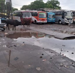 एक दिन की बारिश में प्राइवेट बस स्टैंड का बुरा हाल, दुकानों के भीतर भर गया पानी