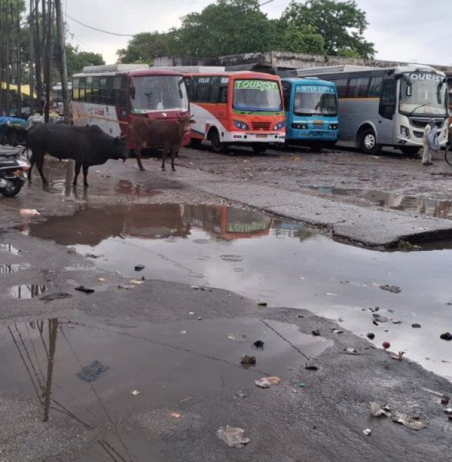 एक दिन की बारिश में प्राइवेट बस स्टैंड का बुरा हाल, दुकानों के भीतर भर गया पानी