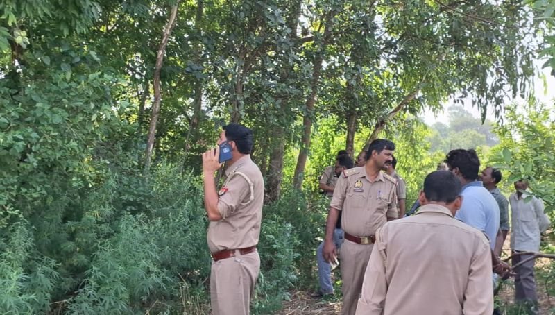 रुह कांप गई जब देखा ऐसा नजारा...बदबू से हो रहा था बुरा हाल, पेड़ पर लटककर सड़ चुकी थी लाश