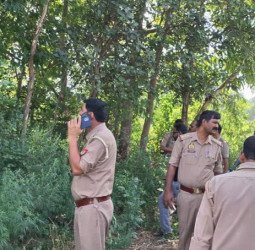 रुह कांप गई जब देखा ऐसा नजारा...बदबू से हो रहा था बुरा हाल, पेड़ पर लटककर सड़ चुकी थी लाश