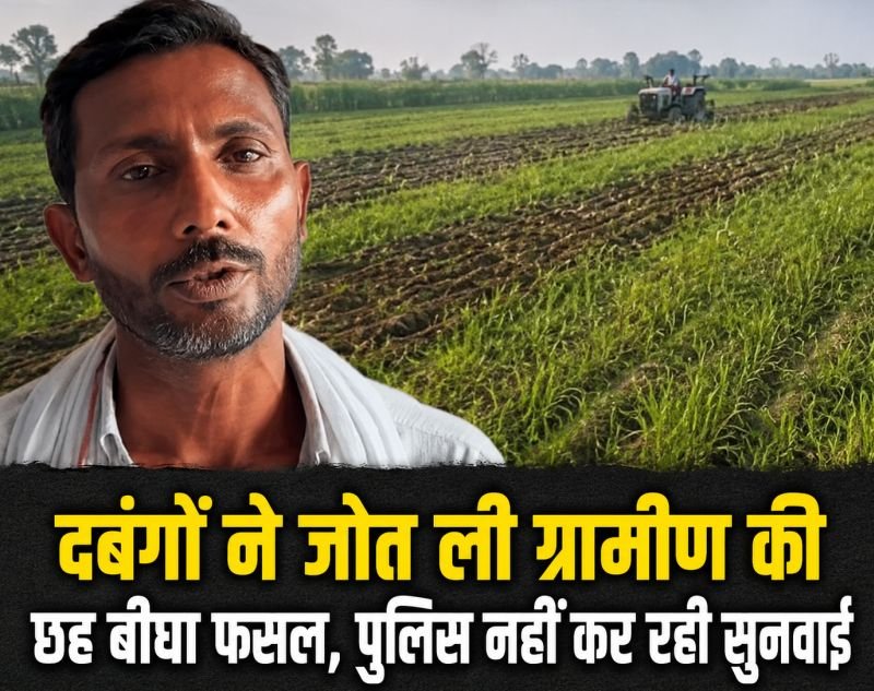 दबंगों ने जोत ली ग्रामीण की छह बीघा फसल, पुलिस नहीं कर रही सुनवाई