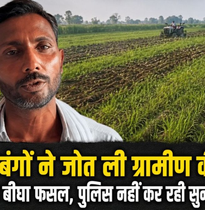 दबंगों ने जोत ली ग्रामीण की छह बीघा फसल, पुलिस नहीं कर रही सुनवाई